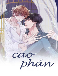 Cao Phán đọc online
