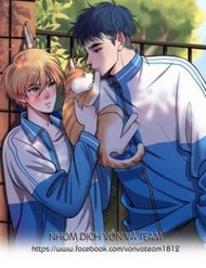 Rốt Cuộc Mèo Con Đang Nghĩ Gì Thế? đọc online